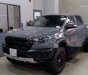 Ford Ranger   Raptor 2019 - Cần bán Ford Ranger Raptor đời 2019, màu đen, nhập khẩu nguyên chiếc