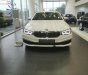 BMW 5 Series 520i 2018 - Bán BMW 520i All New G30, nhập khẩu, màu trắng, nội thất beige, xe có thể giao ngay với đầy đủ hồ sơ