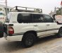 Toyota Land Cruiser 4.2 MT 1999 - Cần bán Toyota Land Cruiser 4.2 MT năm 1999, màu trắng, nhập khẩu  