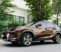 Lexus NX  300 2018 - Bán xe Lexus NX 300 đời 2018, màu nâu, nhập khẩu