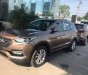 Hyundai Santa Fe 2016 - Bán ô tô Hyundai Santa Fe sản xuất 2016, màu nâu