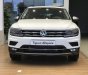 Volkswagen Tiguan 2018 - Xe Đức Tiguan 2.0 Turbo model 2019, trả trước 500 triệu, bao bank 85%, bao hồ sơ khó, xe bao ngon, tặng phụ kiện