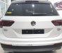 Volkswagen Tiguan 2018 - Xe Đức Tiguan 2.0 Turbo model 2019, trả trước 500 triệu, bao bank 85%, bao hồ sơ khó, xe bao ngon, tặng phụ kiện