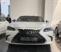 Lexus ES 250 2018 - Bán xe Lexus ES 250 đời 2018, nhập khẩu, mới 100%