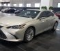 Lexus ES 250 2018 - Bán xe Lexus ES 250 đời 2018, nhập khẩu, mới 100%