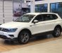 Volkswagen Tiguan 2018 - Xe Đức Tiguan 2.0 Turbo model 2019, trả trước 500 triệu, bao bank 85%, bao hồ sơ khó, xe bao ngon, tặng phụ kiện