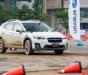 Subaru XV 2.0 I-S Eyesight 2019 - Cần bán Subaru XV 2.0 I-S Eyesight đời 2019, màu trắng, xe giao ngay