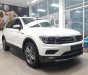 Volkswagen Tiguan 2018 - Xe Đức Tiguan 2.0 Turbo model 2019, trả trước 500 triệu, bao bank 85%, bao hồ sơ khó, xe bao ngon, tặng phụ kiện