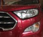 Ford EcoSport 2019 - Bán xe Ford EcoSport đời 2019, màu đỏ, 615 triệu