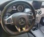 Mercedes-Benz GLA-Class 250 4MATIC  2016 - Bán Mercedes 250 4MATIC đời 2016, màu đen, xe nhập