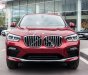 BMW X4 xDrive20i 2019 - Bán BMW X4 xDrive20i sản xuất 2019, màu đỏ, nhập khẩu 