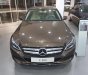 Mercedes-Benz C class C200 2019 - Bán xe Mercedes C200 đời 2019, màu nâu