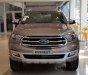 Ford Everest   Titanium Biturbo  2019 - Bán xe Ford Everest Titanium Biturbo năm 2019, màu nâu, nhập khẩu 
