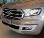 Ford Everest   Titanium Biturbo  2019 - Bán xe Ford Everest Titanium Biturbo năm 2019, màu nâu, nhập khẩu 
