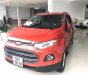 Ford EcoSport 2017 - Cần bán lại xe Ford EcoSport năm 2017, xe nhập chính chủ