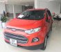 Ford EcoSport 2017 - Cần bán lại xe Ford EcoSport năm 2017, xe nhập chính chủ