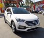 Hyundai Santa Fe CRDi 2017 - Hyundai Santa Fe CRDi model 2017, màu trắng, nhập khẩu còn mới toanh, full option loại cao cấp nhất, 1tỷ 65tr