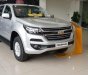 Chevrolet Colorado 2019 - Cần bán xe Chevrolet Colorado đời 2019, màu bạc, nhập khẩu nguyên chiếc