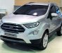 Ford EcoSport 1.0 Ecoboost AT 2018 - Bán xe Ford EcoSport năm 2018, màu bạc, giá tốt