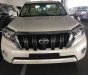 Toyota Land Cruiser Prado VX 2018 - Bán ô tô Toyota Land Cruiser Prado VX năm sản xuất 2018, nhập khẩu