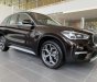 BMW X1   sDrive 1.8i 2019 - Cần bán BMW X1 sDrive 1.8i sản xuất 2019, màu đen, nhập khẩu