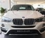 BMW X4 xDrive20i 2019 - Bán BMW X4 xDrive20i 2.0 Turbo, sản xuất 2019, màu trắng, xe nhập