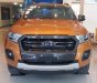 Ford Ranger Wildtrak 2018 - Bán Ford Ranger Wildtrak sản xuất năm 2018, xe nhập