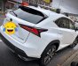 Lexus NX  300H   2018 - Bán Lexus NX 300H năm sản xuất 2018, màu trắng, nhập khẩu