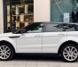 LandRover Evoque 2012 - Bán ô tô LandRover Evoque đăng ký 2013, màu trắng nhập từ Nhật