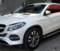 Mercedes-Benz GLE-Class GLE Class  2015 - Cần bán lại xe Mercedes GLE Class đời 2015, màu trắng, nhập khẩu nguyên chiếc