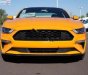 Ford Mustang Fastback 2019 - Cần bán xe Ford Mustang Fastback 2019, màu vàng, nhập khẩu 