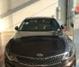 Kia Optima  GAT 2017 - Cần bán Kia Optima GAT năm 2017, màu nâu, giá chỉ 789 triệu