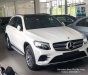 Mercedes-Benz GLC-Class 300 2018 - Phú Mỹ Hưng bán Mercedes-Benz GLC300 2019, mới 100%