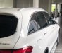 Mercedes-Benz GLC-Class 300 2018 - Phú Mỹ Hưng bán Mercedes-Benz GLC300 2019, mới 100%
