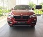 BMW X6 2018 - Bán xe BMW X6 sản xuất 2018