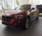 BMW X6 2018 - Bán xe BMW X6 sản xuất 2018