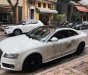 Audi A5 2008 - Gia đình cần bán Aidi A5, sản xuất 2008, đăng ký lần đầu 2010