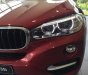 BMW X6 2018 - Bán xe BMW X6 sản xuất 2018