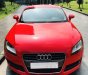 Audi TT 2009 - Bán ô tô Audi TT 2009, xe nhập giá cạnh tranh