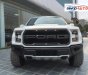 Ford F 150 2019 - Ford F150 - Raptor sản xuất 2019 nhập khẩu nguyên chiếc Mr Huân: 0981010161