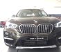 BMW X1 2018 - Bán BMW X1 đời 2019, màu nâu, nhập khẩu