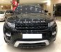 LandRover Evoque 2013 - Bán xe LandRover Evoque sản xuất 2013, màu đen, nhập khẩu