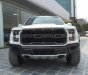 Ford F 150 2019 - Bán siêu bán tải Ford F150 Raptor 2020 giá tốt, giao ngay