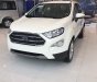 Ford EcoSport Titanium 1.5L  2018 - Bán ô tô Ford EcoSport Titanium 1.5L 2018, màu trắng, giá chỉ 624 triệu