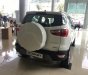 Ford EcoSport Titanium 1.5L  2018 - Bán ô tô Ford EcoSport Titanium 1.5L 2018, màu trắng, giá chỉ 624 triệu