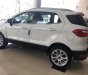 Ford EcoSport Titanium 1.5L  2018 - Bán ô tô Ford EcoSport Titanium 1.5L 2018, màu trắng, giá chỉ 624 triệu