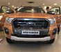 Ford Ranger Wildtrak 2.0 4x2 2019 - Bán Ford Ranger năm sản xuất 2019, nhập khẩu Thái Lan