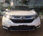 Honda CR V L 2019 - Bán xe Honda CR V L 2019, màu trắng, nhập khẩu, 7 chỗ ngồi