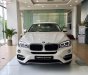 BMW X6 xDrive35i 2018 - BMW Phú Mỹ Hưng bán BMW X6 xDrive35i sản xuất 2018, xe mới 100%