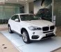 BMW X6 xDrive35i 2018 - BMW Phú Mỹ Hưng bán BMW X6 xDrive35i sản xuất 2018, xe mới 100%